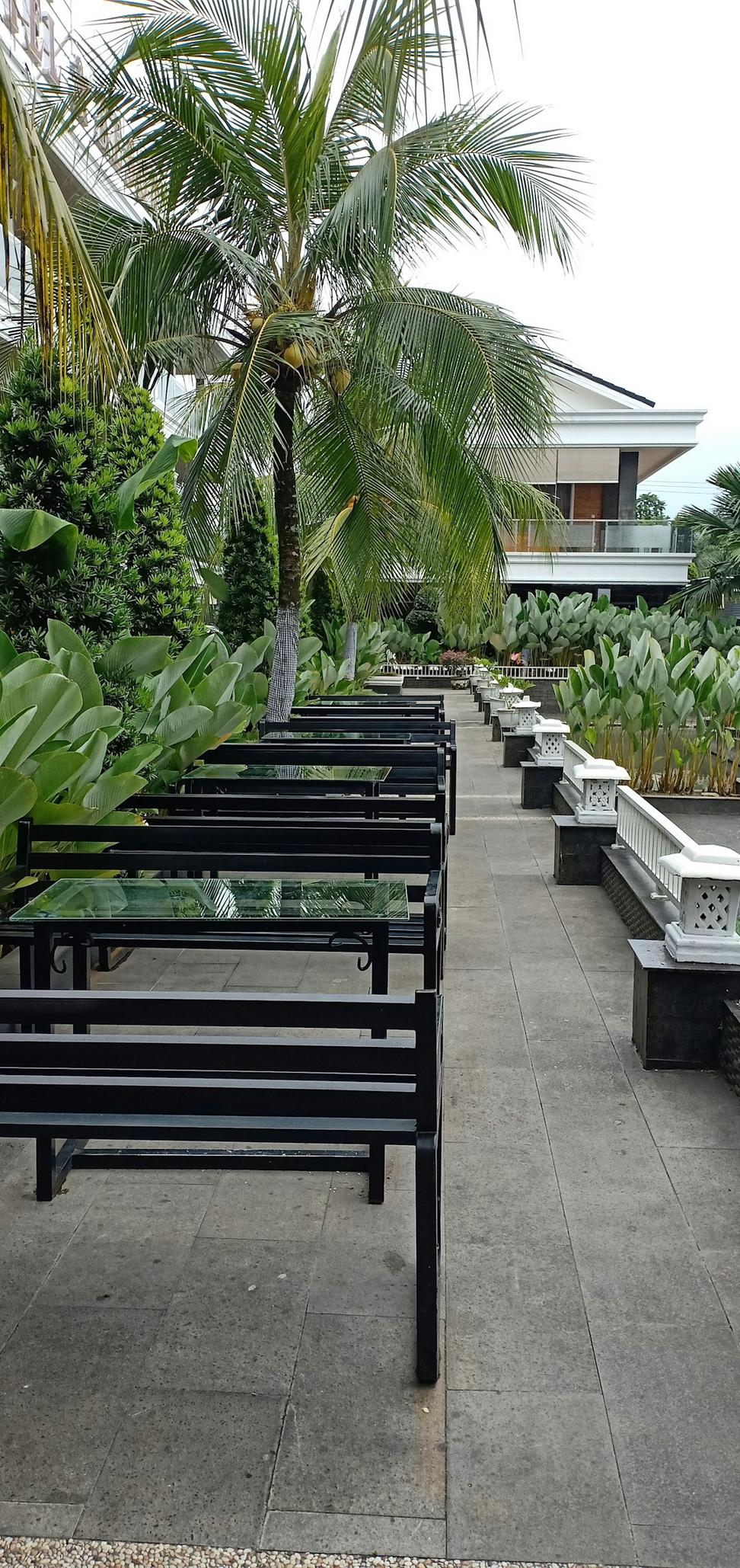Terrace Garden