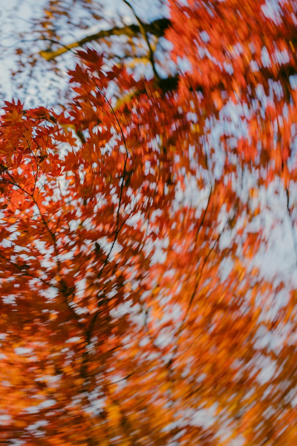 Canadian autumn