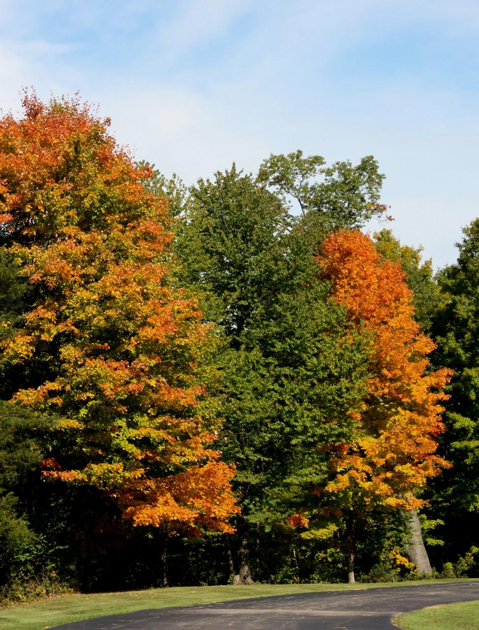 Toronto autumn scenery